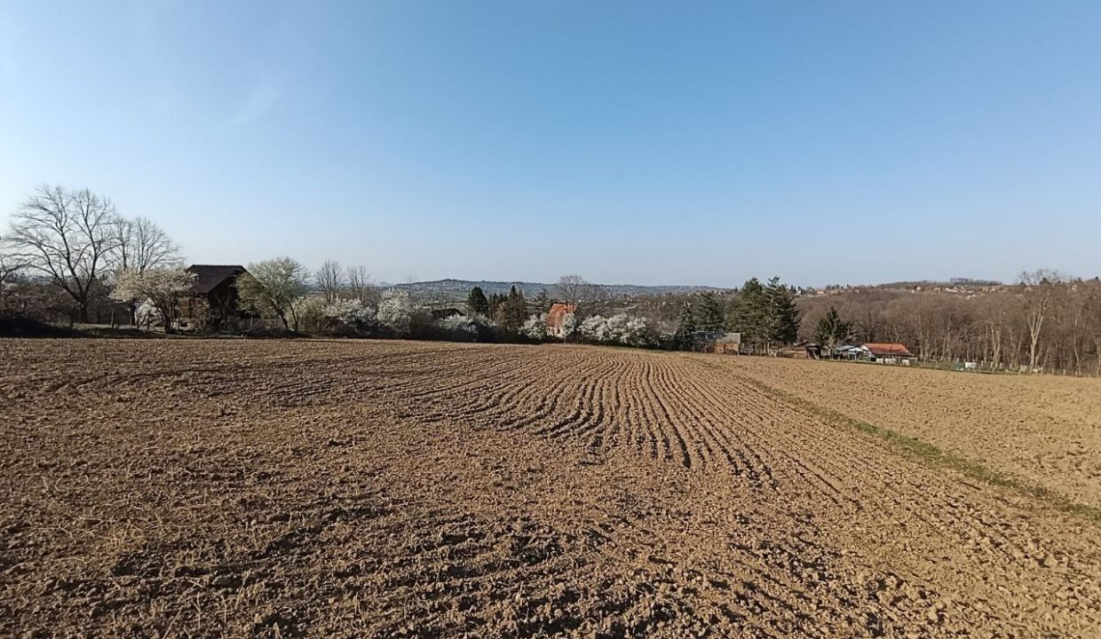 photo_2026-03-13_11-03-46