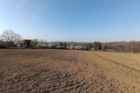 photo_2026-03-13_11-03-46