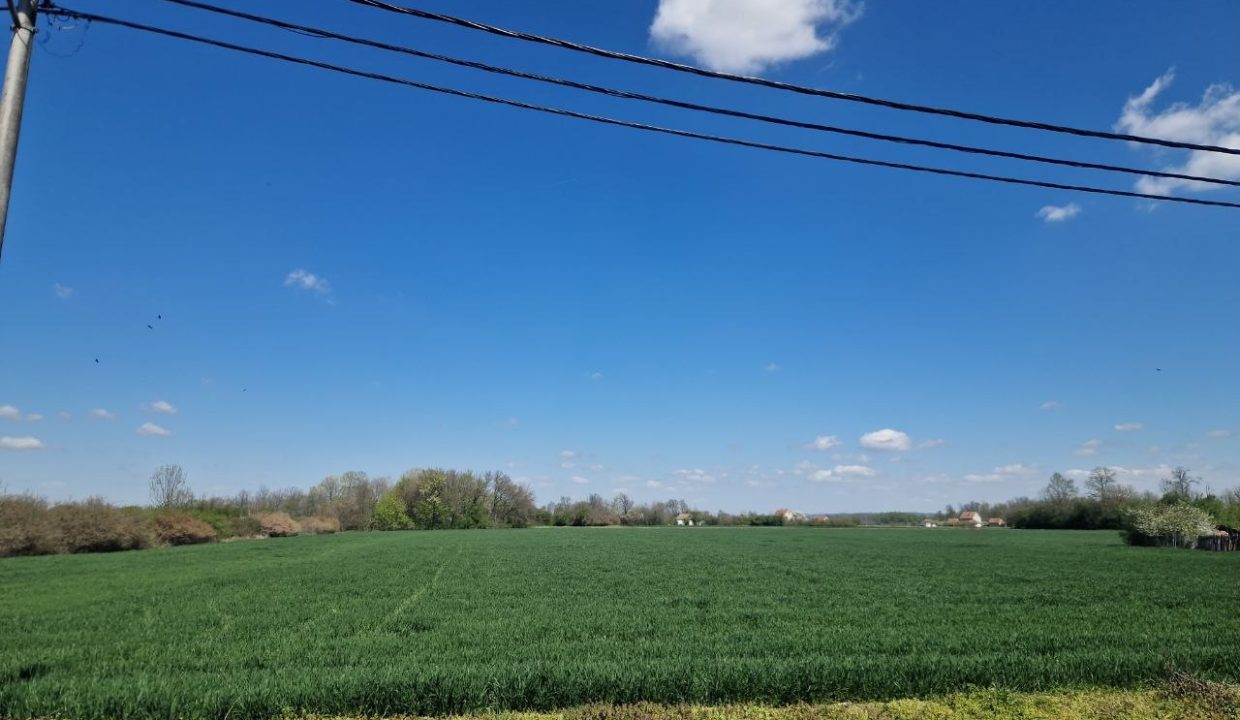 photo_2026-04-08_14-46-48