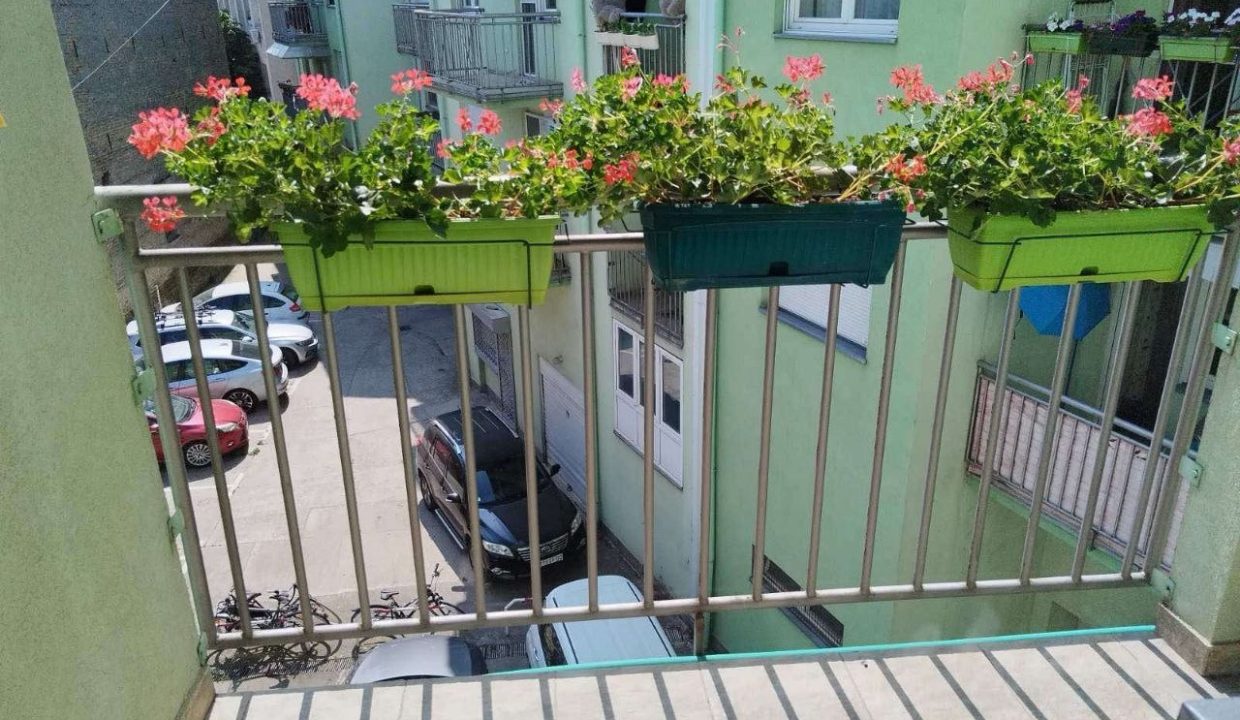 photo_2026-04-13_09-58-46