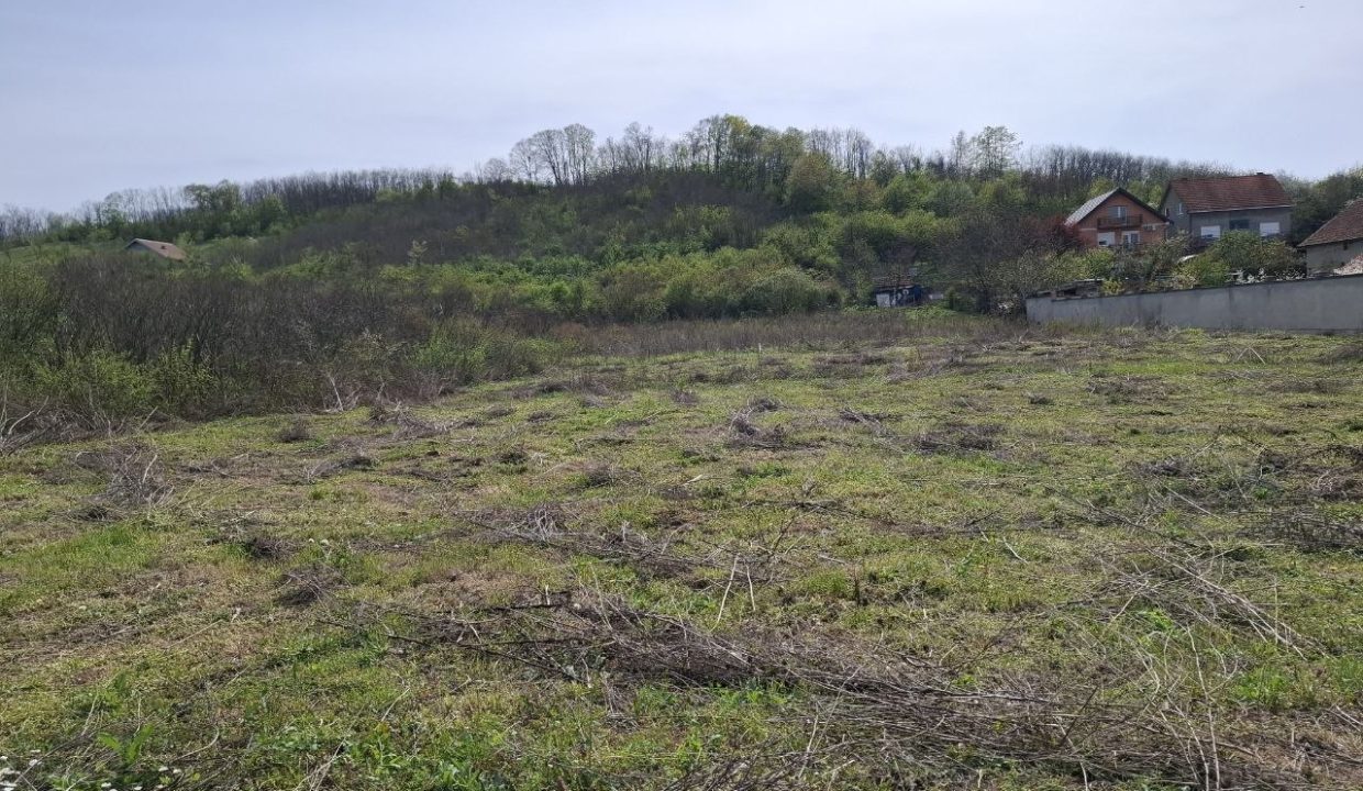 photo_2026-04-13_15-25-08