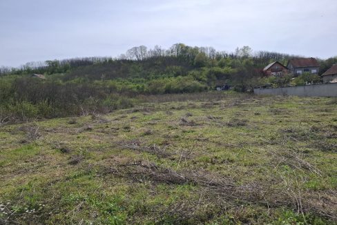 photo_2026-04-13_15-25-08