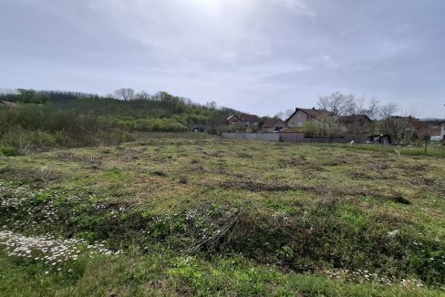 photo_2026-04-13_15-25-12