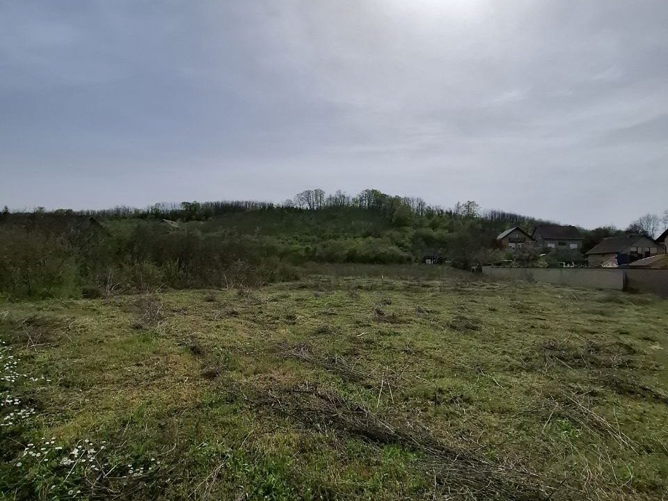 photo_2026-04-13_15-25-34