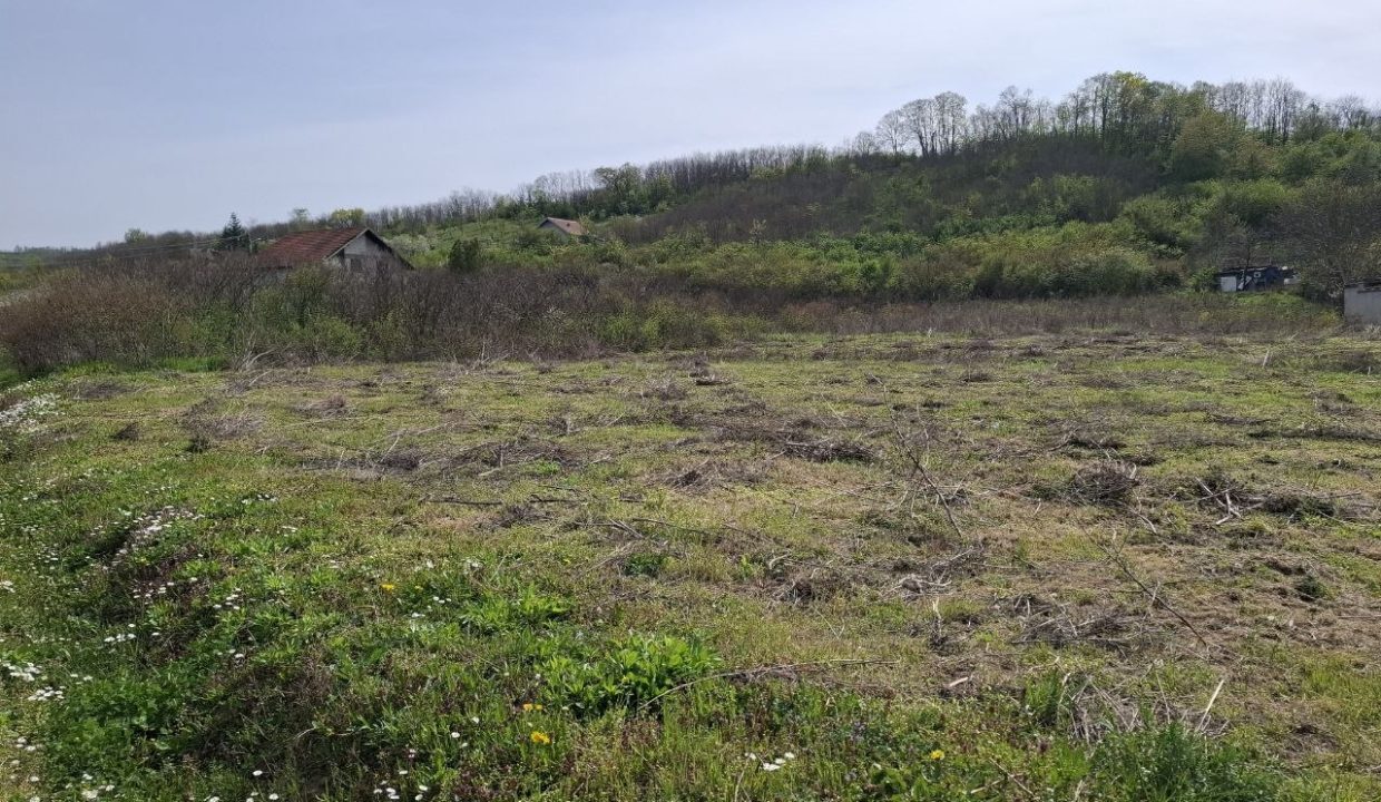 photo_2026-04-13_15-25-42