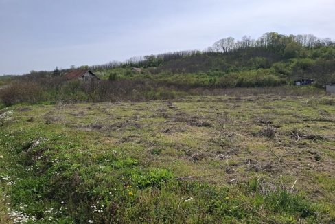 photo_2026-04-13_15-25-42