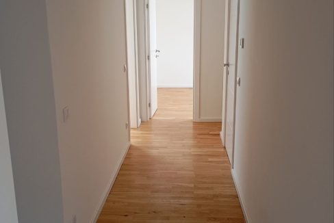 photo_2026-04-16_13-51-54