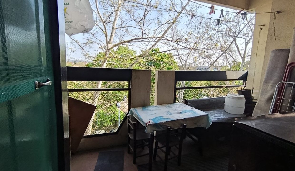 photo_2026-04-16_15-14-53