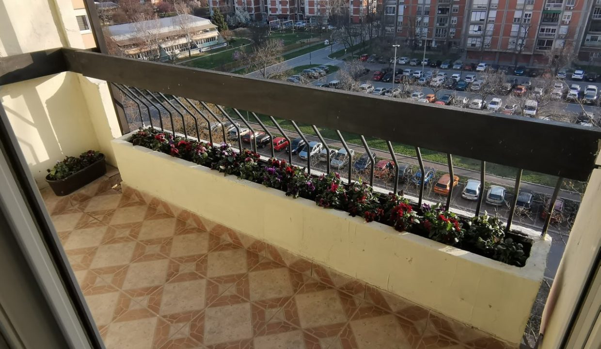 photo_2026-04-17_08-02-33