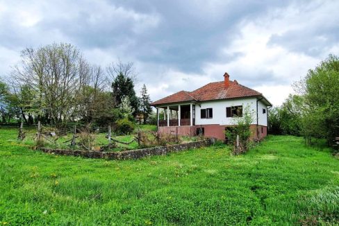 photo_2026-04-17_08-04-36