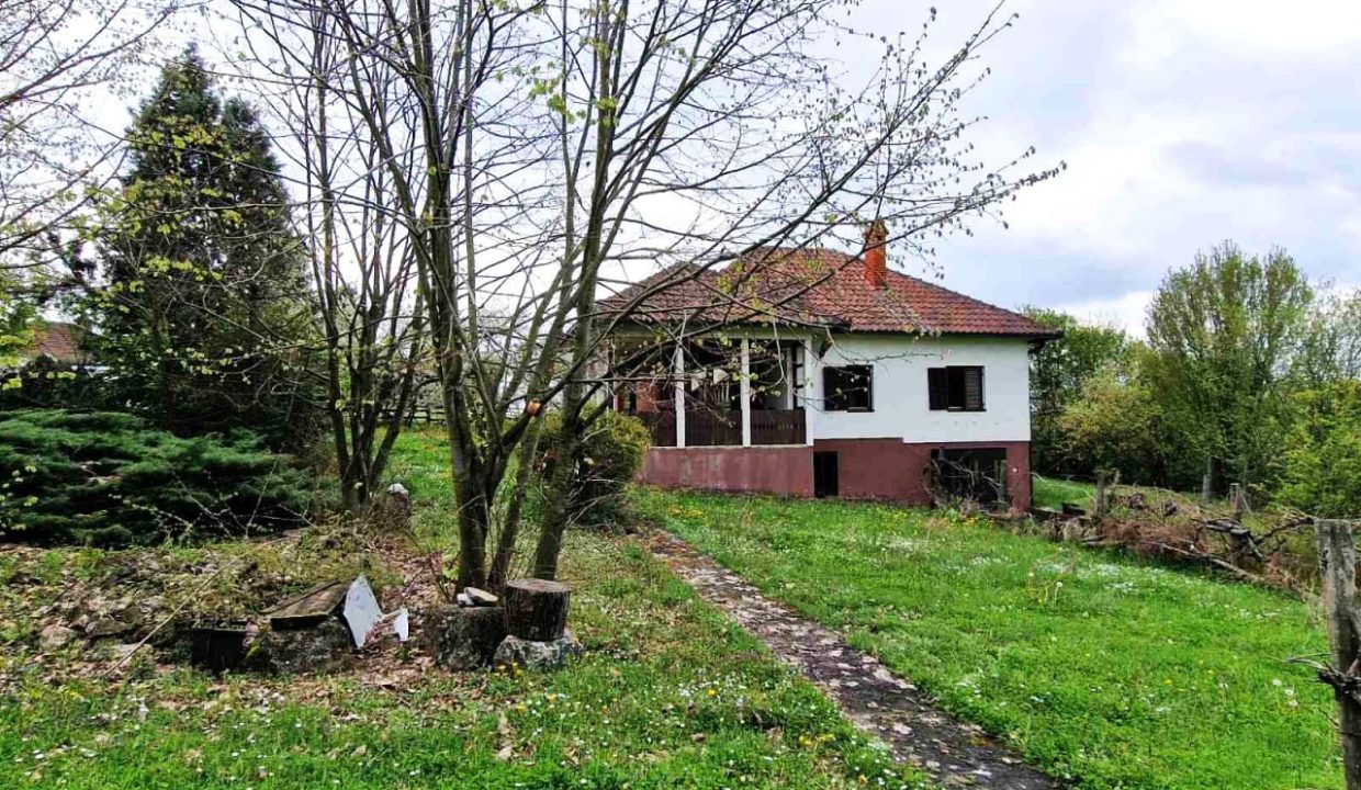 photo_2026-04-17_08-04-41