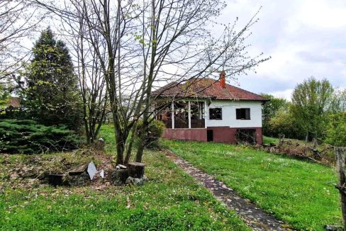 photo_2026-04-17_08-04-41