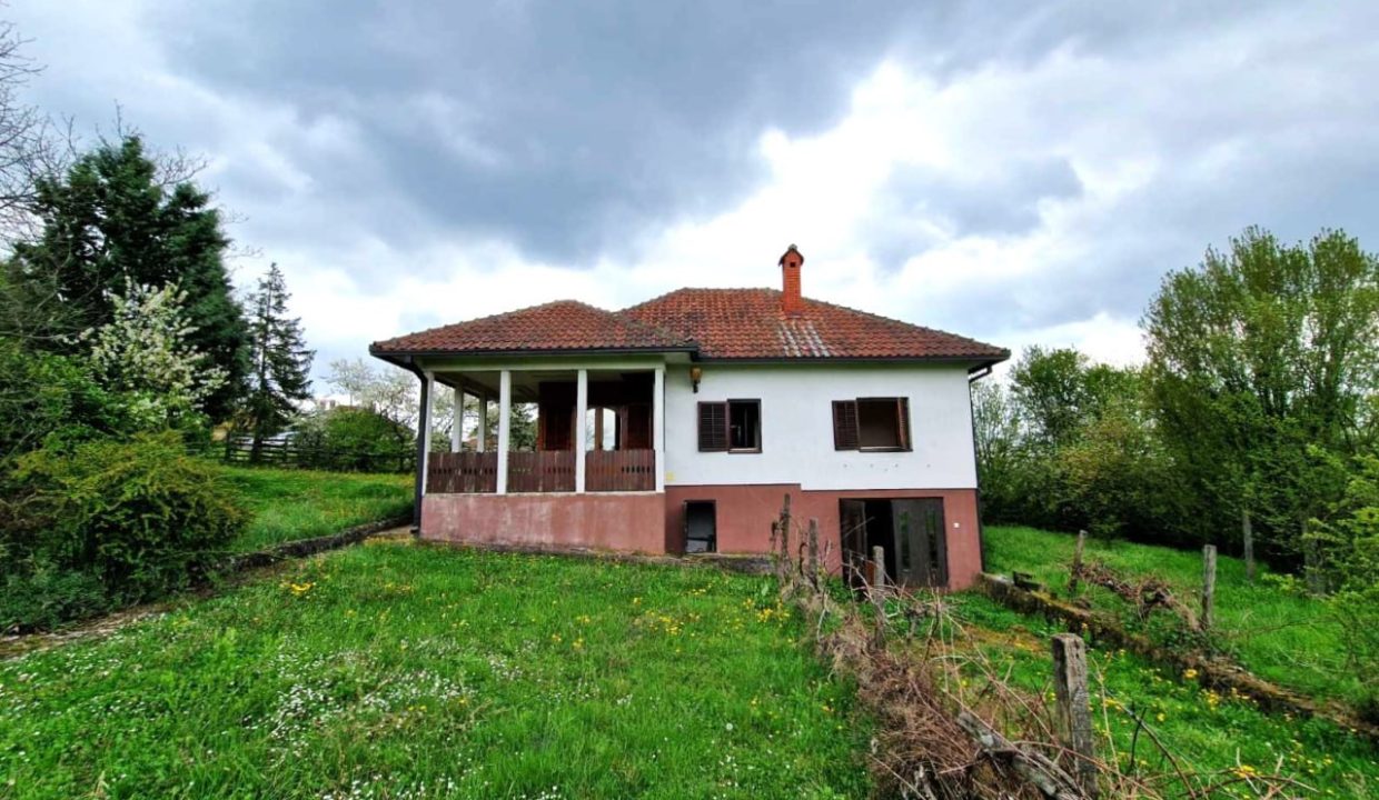 photo_2026-04-17_08-04-44