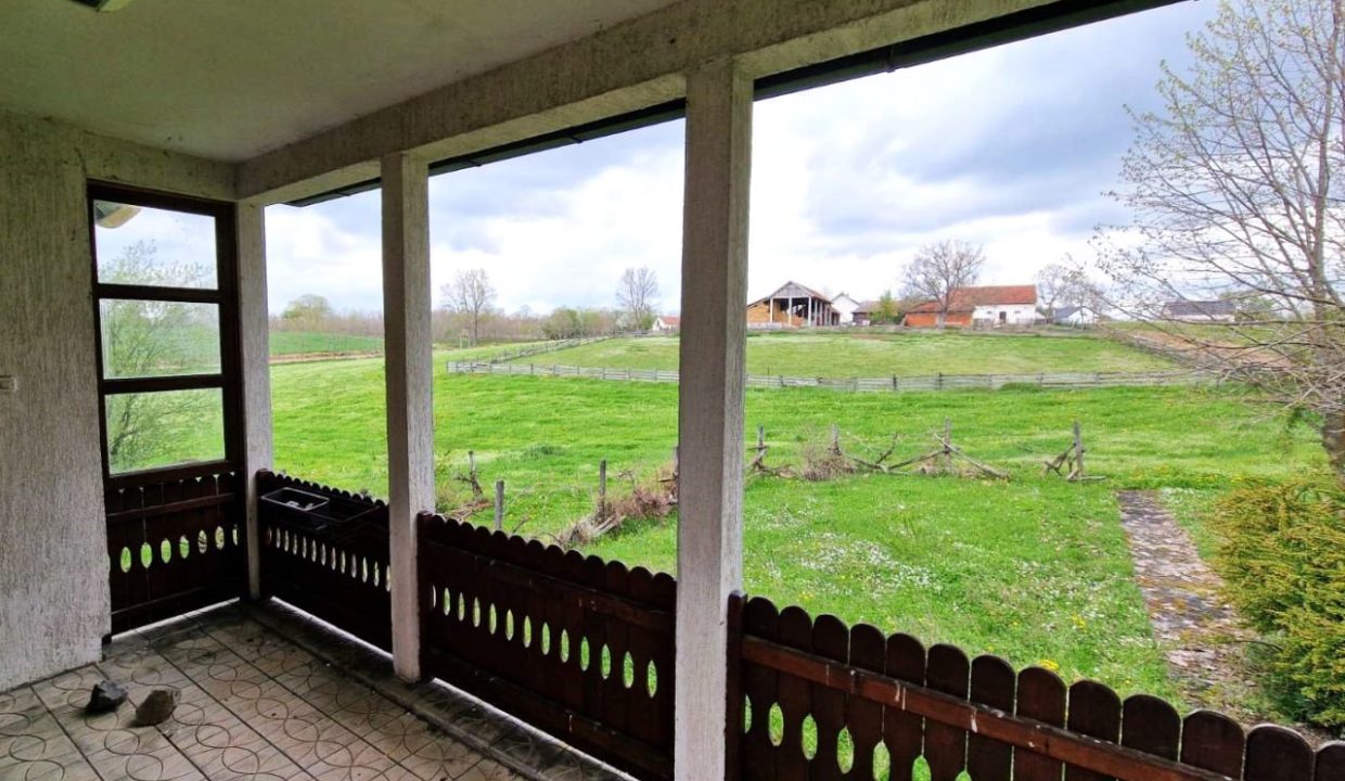 photo_2026-04-17_08-04-49