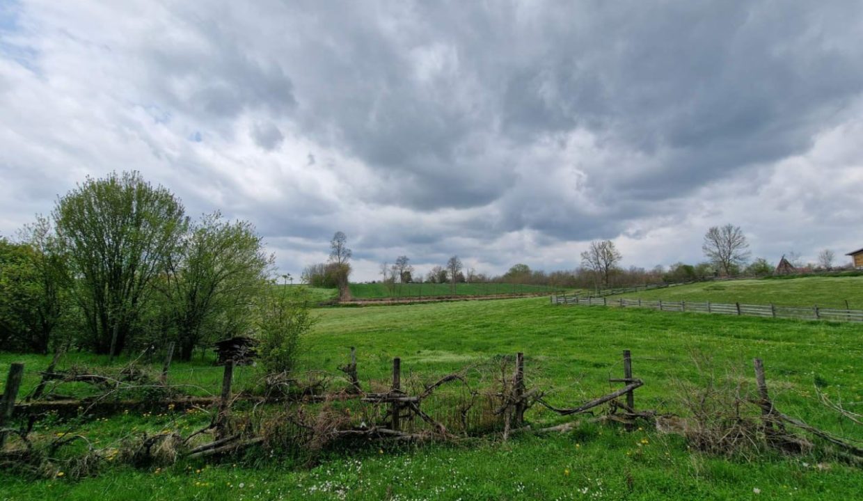 photo_2026-04-17_08-05-12