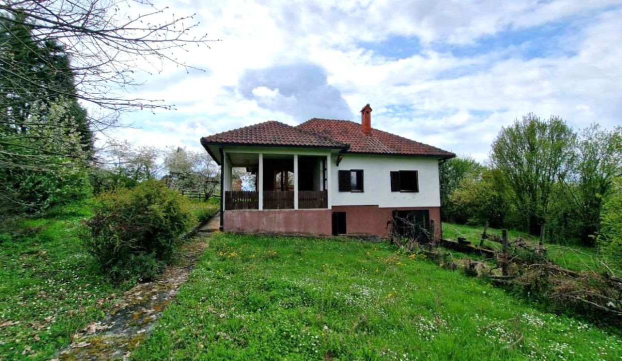 photo_2026-04-17_08-05-14