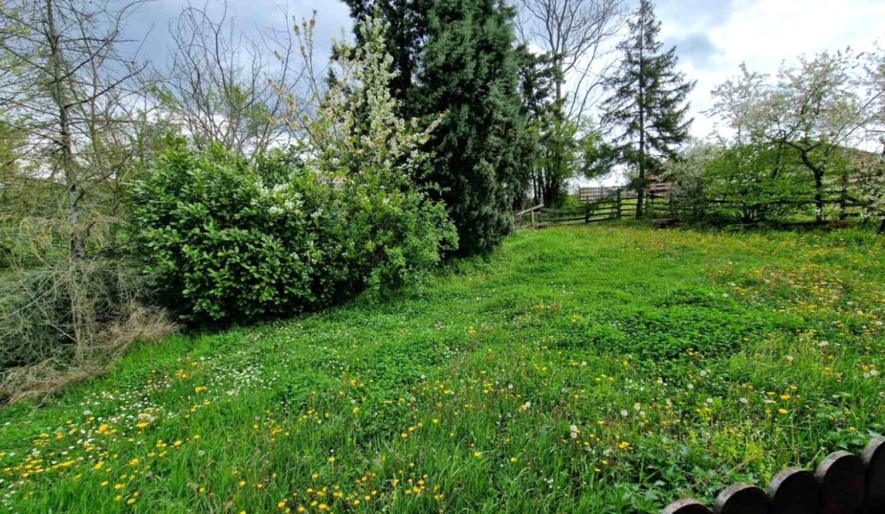 photo_2026-04-17_08-05-16