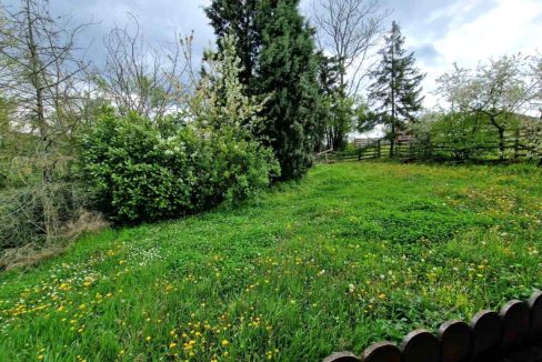 photo_2026-04-17_08-05-16