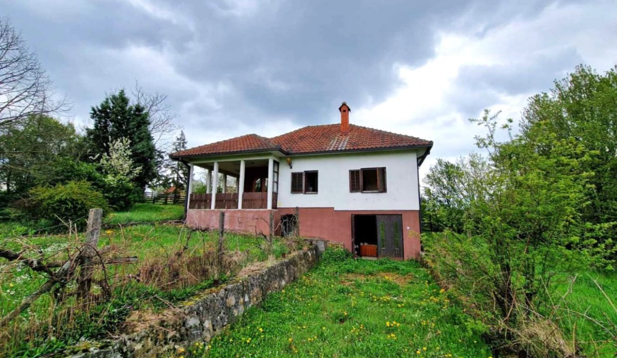 photo_2026-04-17_08-05-18