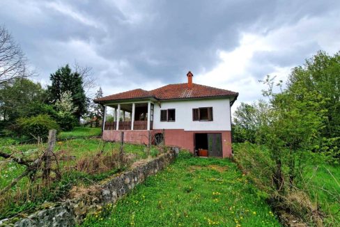 photo_2026-04-17_08-05-18