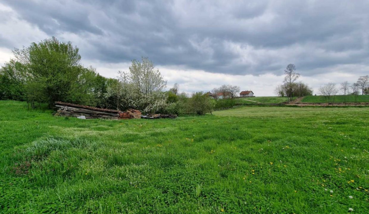 photo_2026-04-17_08-05-23