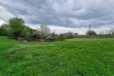 photo_2026-04-17_08-05-23