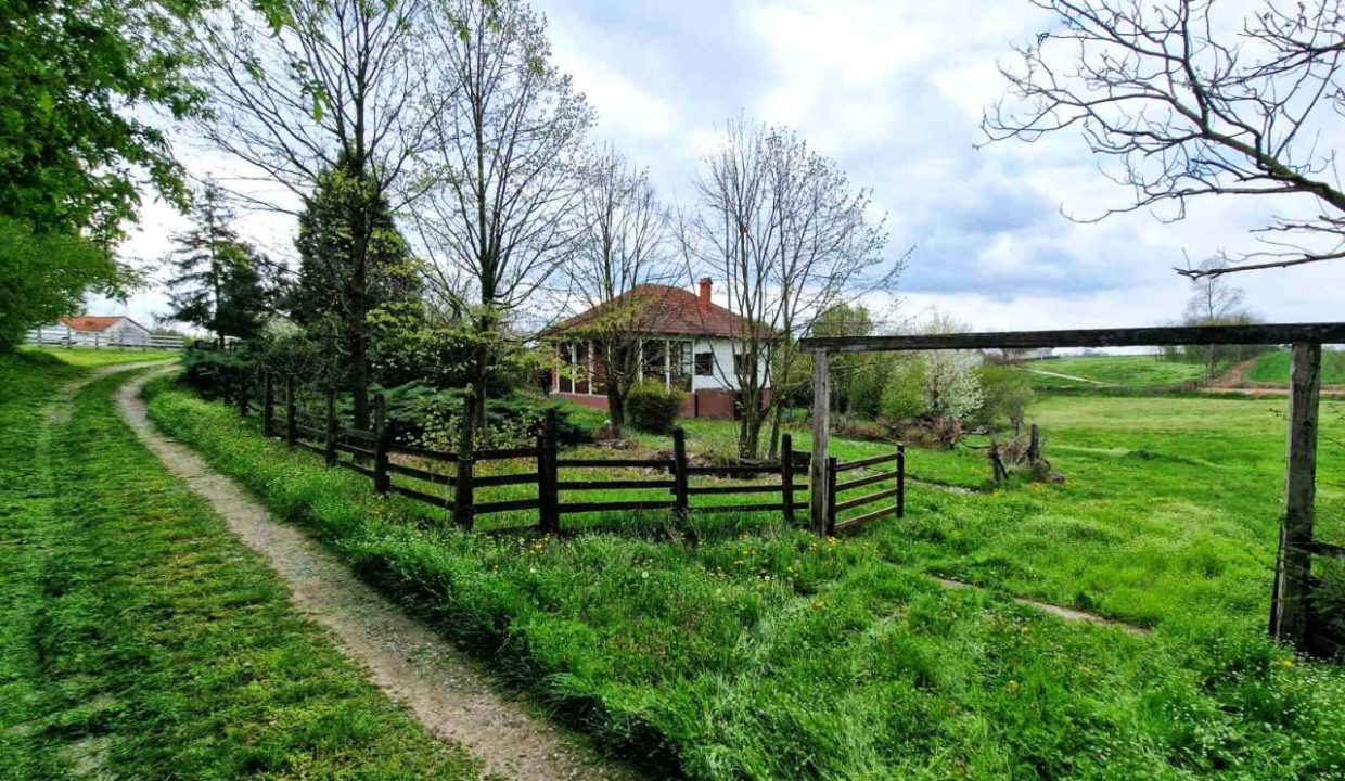 photo_2026-04-17_08-05-25