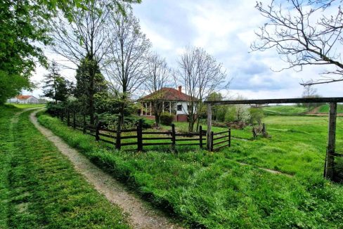 photo_2026-04-17_08-05-25