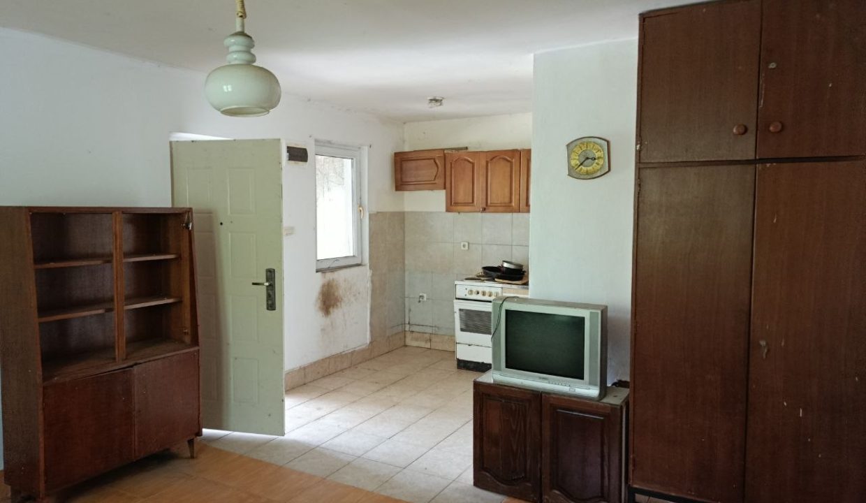 photo_2026-04-20_14-44-49