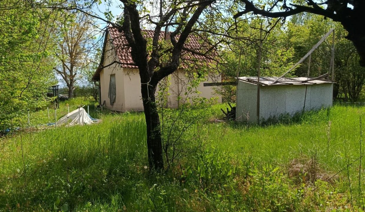 photo_2026-04-20_14-45-05