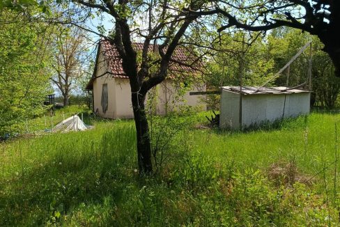 photo_2026-04-20_14-45-05