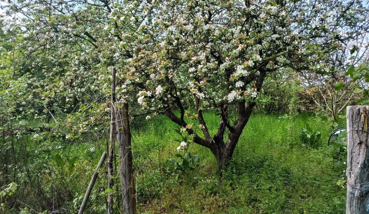 photo_2026-04-20_14-45-07
