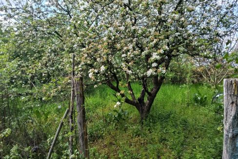 photo_2026-04-20_14-45-07