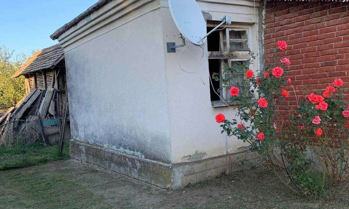 viber_image_2026-04-20_08-18-05-896