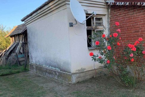 viber_image_2026-04-20_08-18-05-896