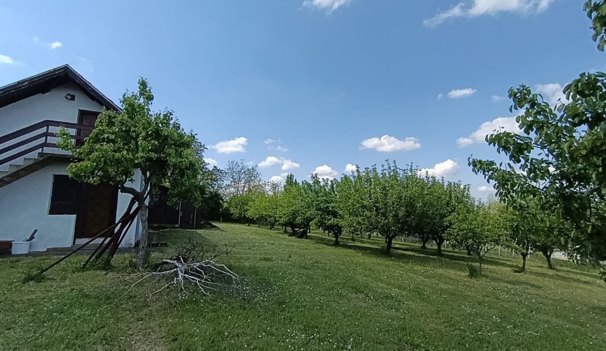 photo_2026-05-08_10-36-42