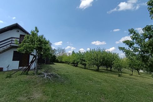 photo_2026-05-08_10-36-42