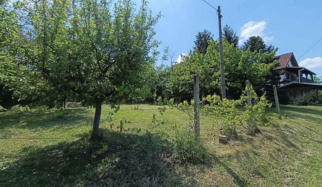 photo_2026-05-08_10-37-04