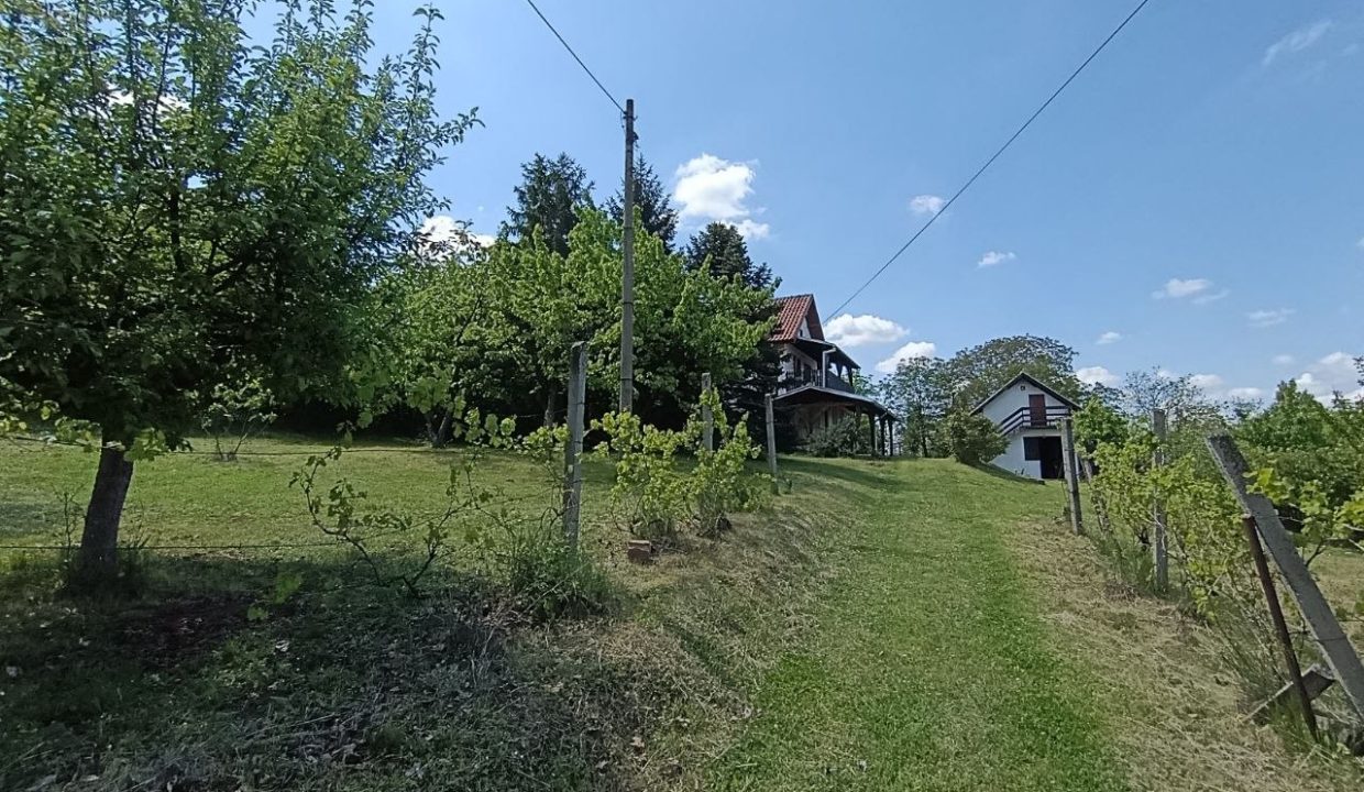 photo_2026-05-08_10-37-06