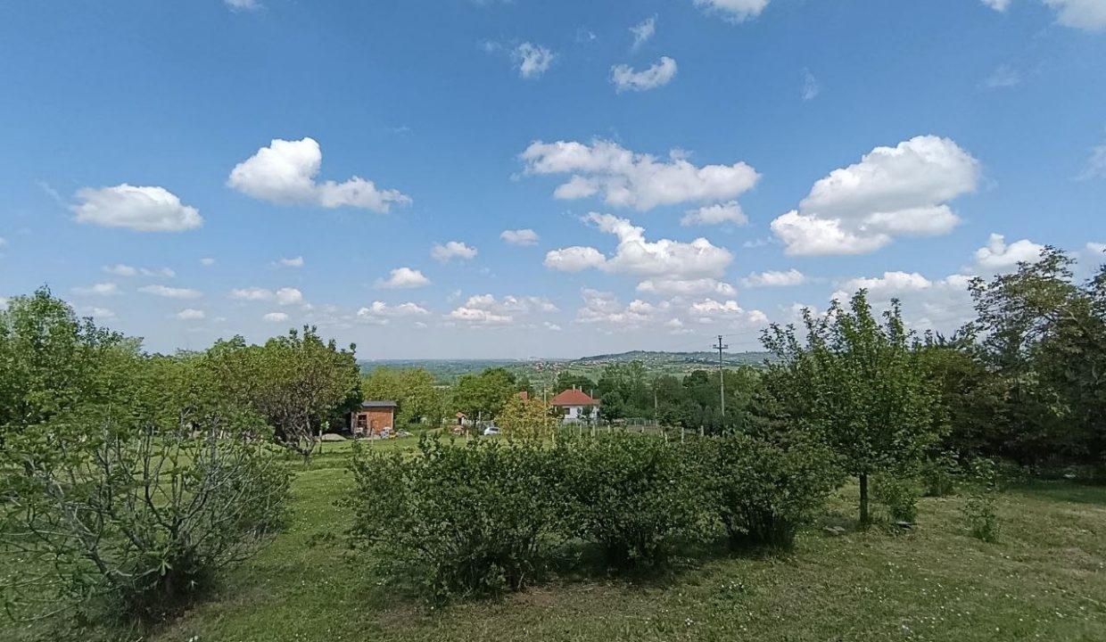 photo_2026-05-08_10-37-11