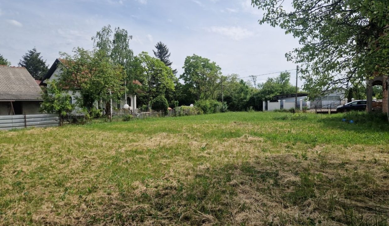 photo_2026-05-18_12-41-59