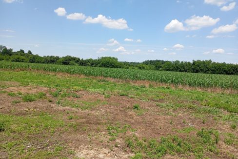 photo_2026-06-09_13-21-30