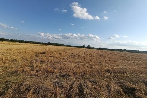 photo_2026-07-15_13-12-15