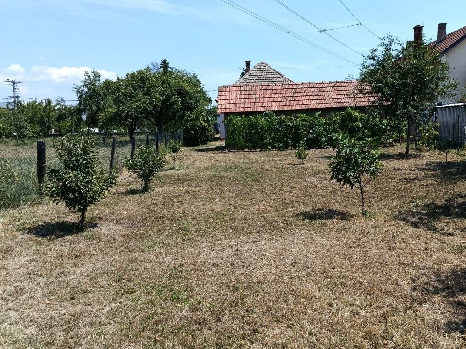 photo_2026-07-24_10-01-31