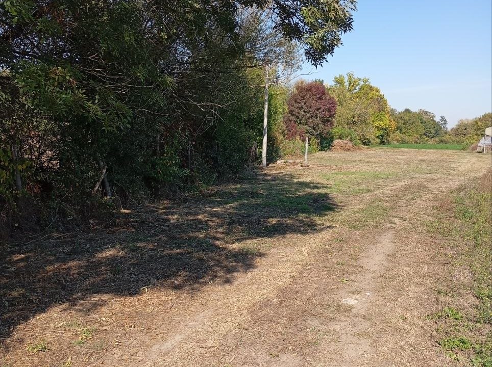 photo_2026-10-07_14-32-49